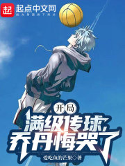 开局满级传球,乔丹悔哭了
